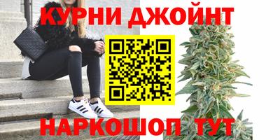 ГАЛЛЮЦИНОГЕННЫЕ ГРИБЫ Тулун