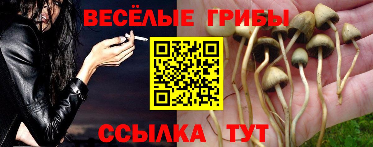 Псилоцибиновые грибы Magic Shrooms Боровичи